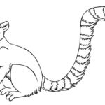 Raskrasil.com-Coloring-Pages-Jungle-Animals-41