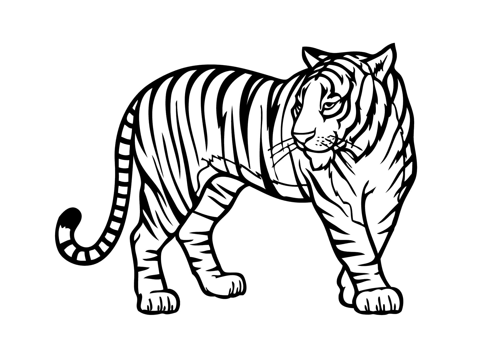 Raskrasil.com-Coloring-Pages-Jungle-Animals-42