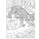 Raskrasil.com-Coloring-Pages-Jungle-Animals-43