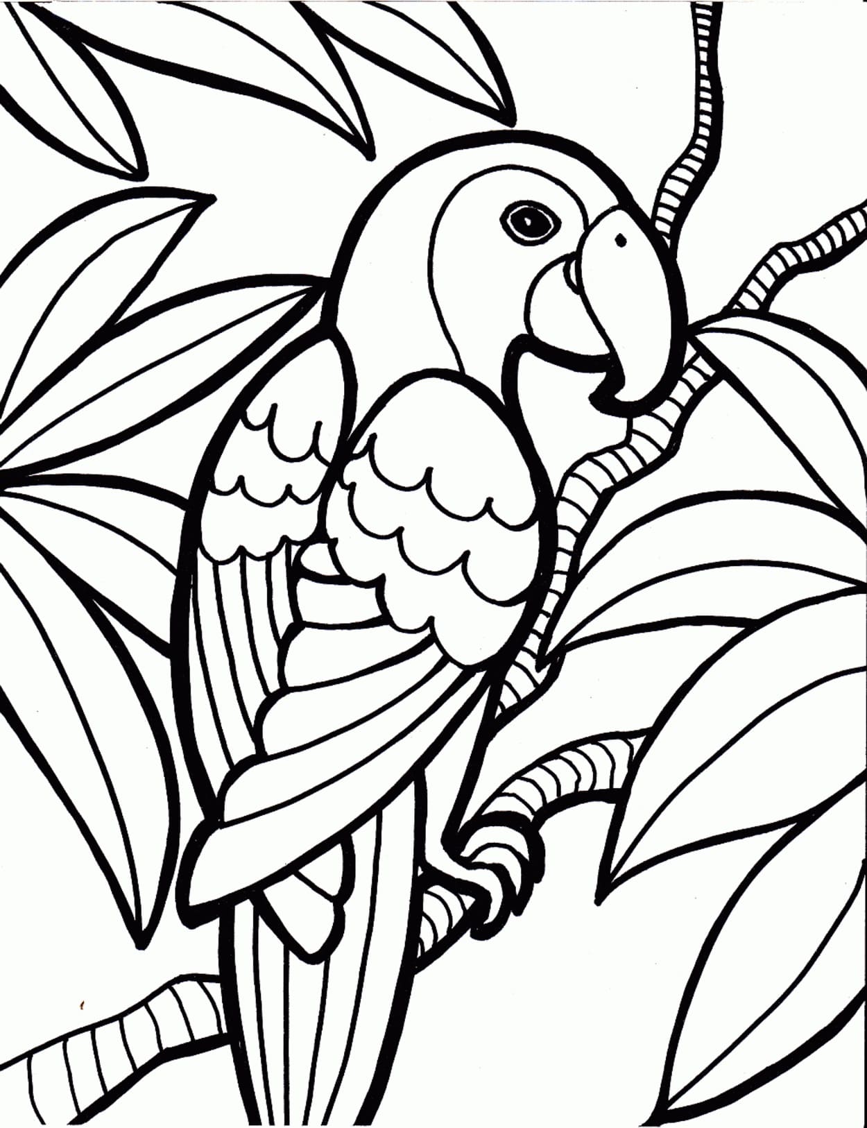 Raskrasil.com-Coloring-Pages-Jungle-Animals-44