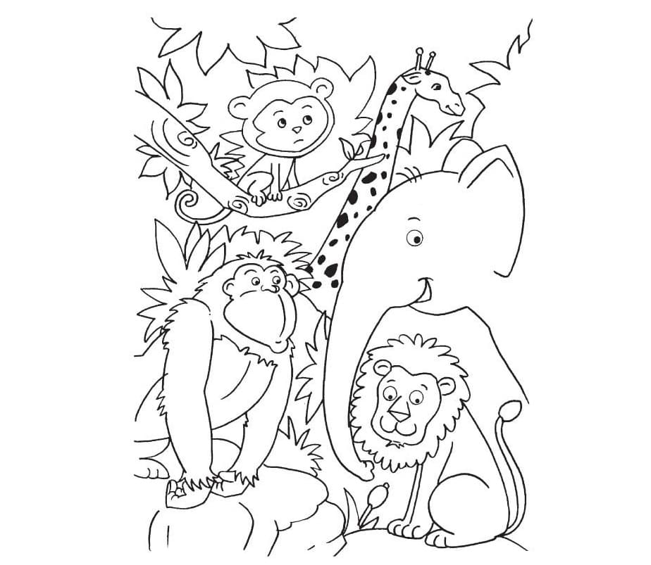 Raskrasil.com-Coloring-Pages-Jungle-Animals-47