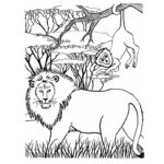 Raskrasil.com-Coloring-Pages-Jungle-Animals-48