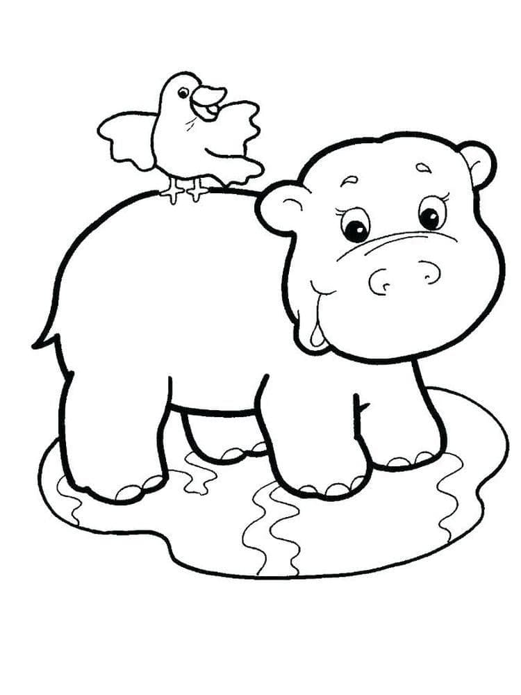 Raskrasil.com-Coloring-Pages-Jungle-Animals-49