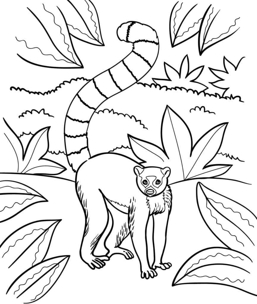 Raskrasil.com-Coloring-Pages-Jungle-Animals-56