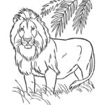 Raskrasil.com-Coloring-Pages-Jungle-Animals-59