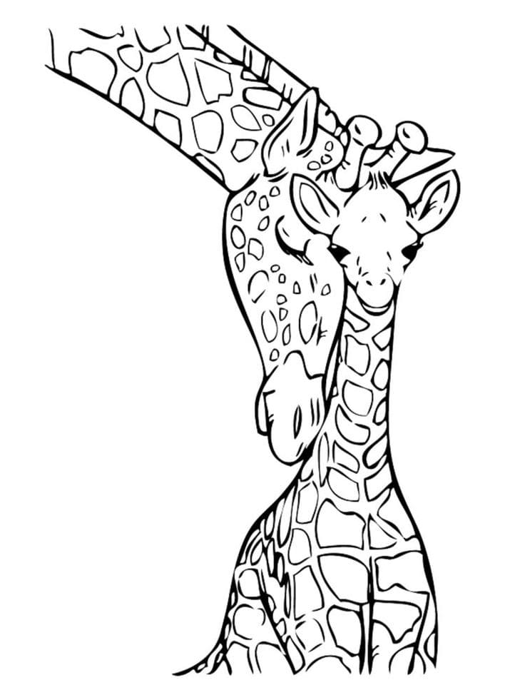 Raskrasil.com-Coloring-Pages-Jungle-Animals-61