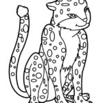 Raskrasil.com-Coloring-Pages-Jungle-Animals-62
