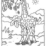 Raskrasil.com-Coloring-Pages-Jungle-Animals-64