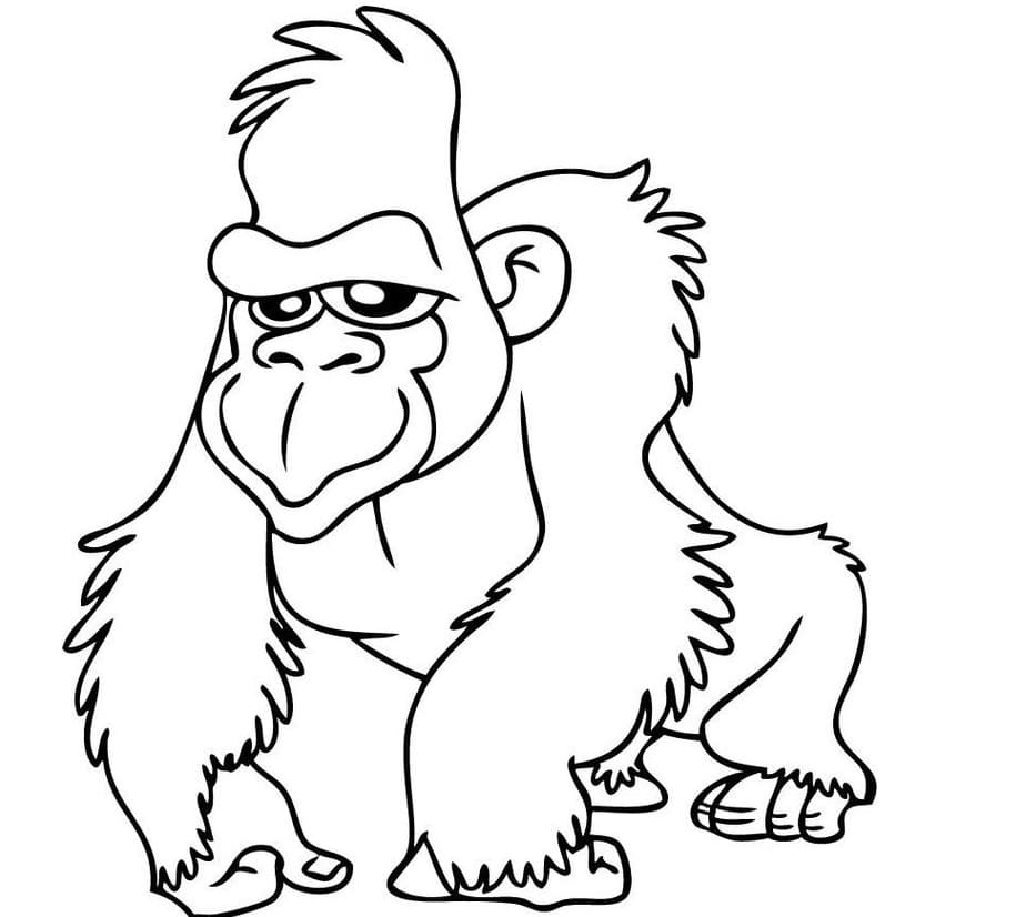 Raskrasil.com-Coloring-Pages-Jungle-Animals-66