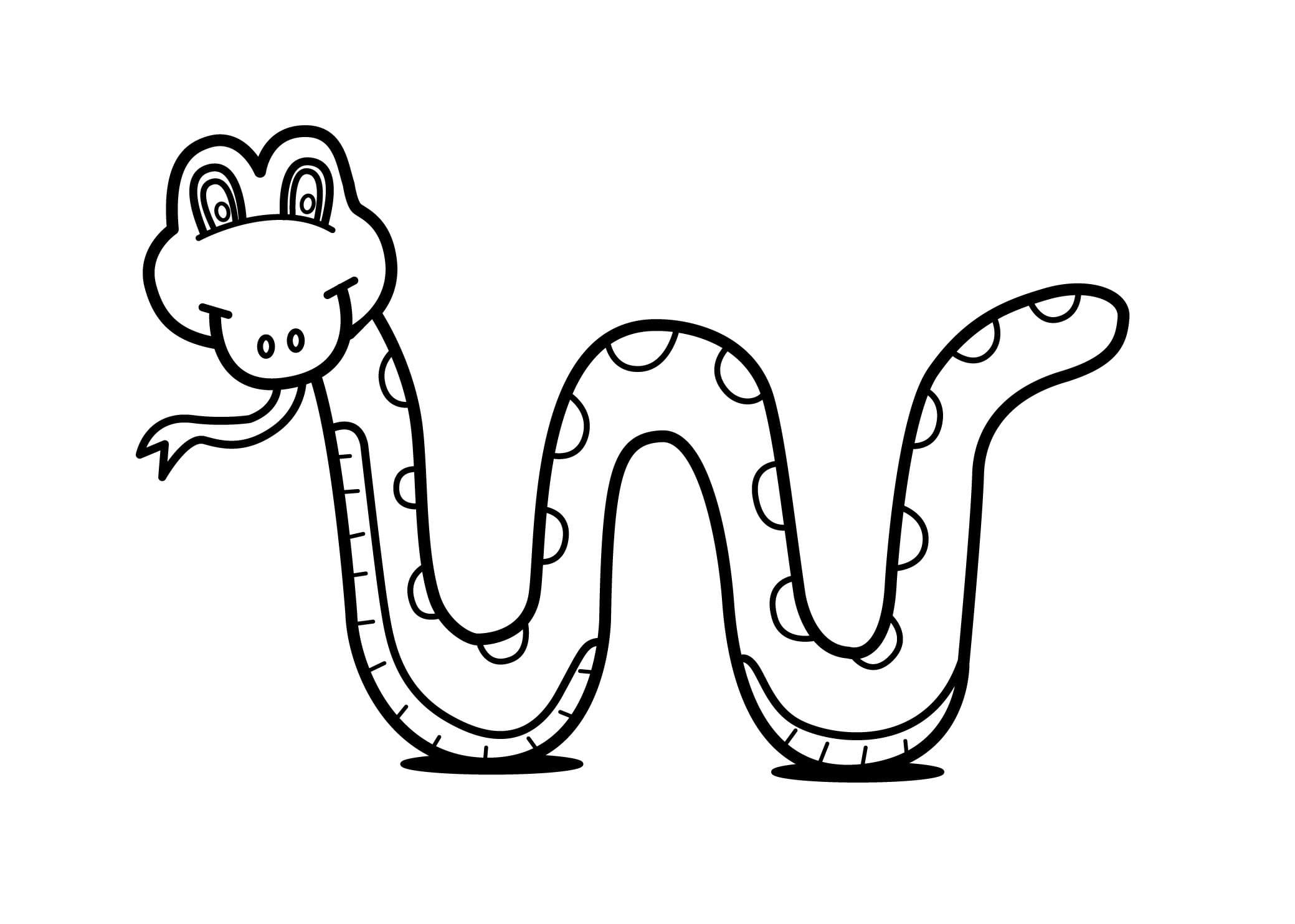 Raskrasil.com-Coloring-Pages-Jungle-Animals-68