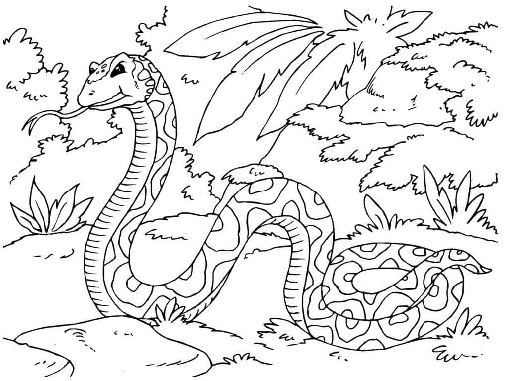 Raskrasil.com-Coloring-Pages-Jungle-Animals-70
