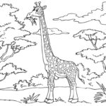 Raskrasil.com-Coloring-Pages-Jungle-Animals-73