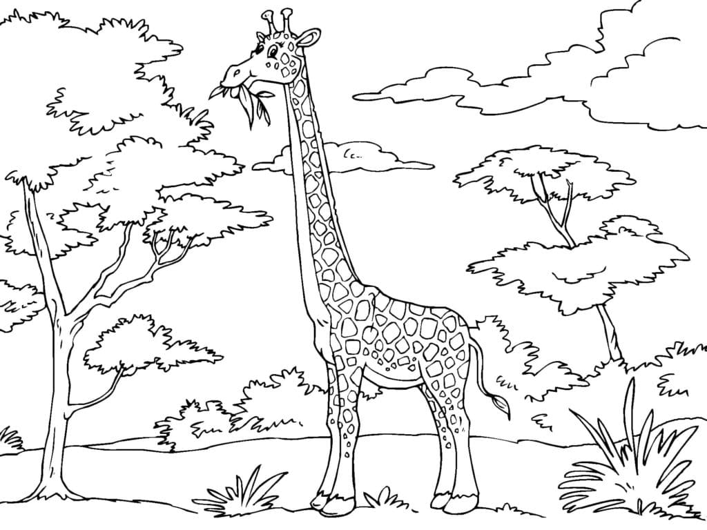 Raskrasil.com-Coloring-Pages-Jungle-Animals-73