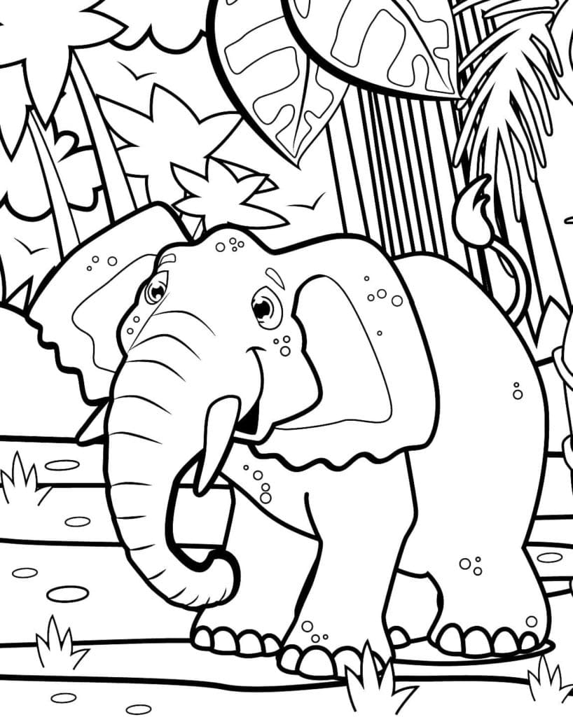 Raskrasil.com-Coloring-Pages-Jungle-Animals-75