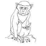 Raskrasil.com-Coloring-Pages-Jungle-Animals-76