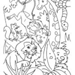 Raskrasil.com-Coloring-Pages-Jungle-Animals-8