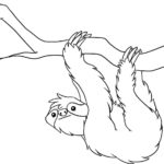 Raskrasil.com-Coloring-Pages-Jungle-Animals-80