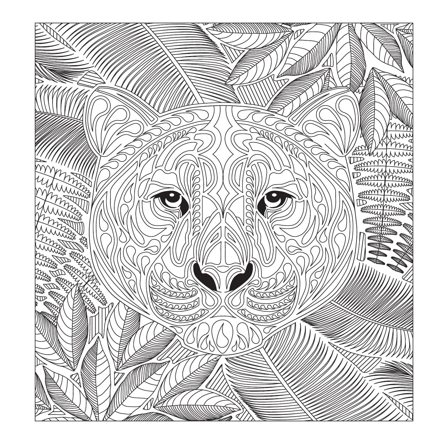 Raskrasil.com-Coloring-Pages-Jungle-Animals-92