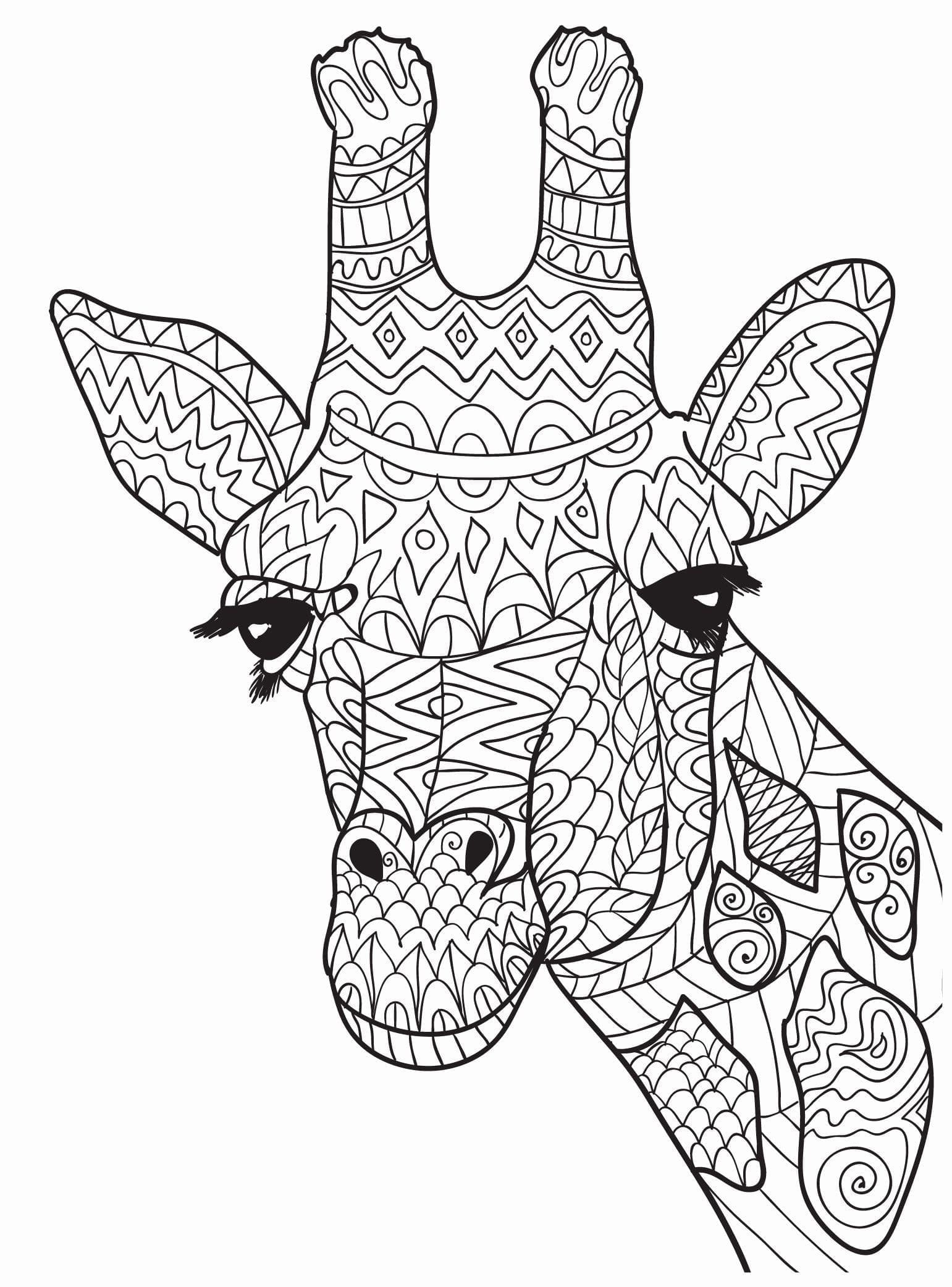 Raskrasil.com-Coloring-Pages-Jungle-Animals-97
