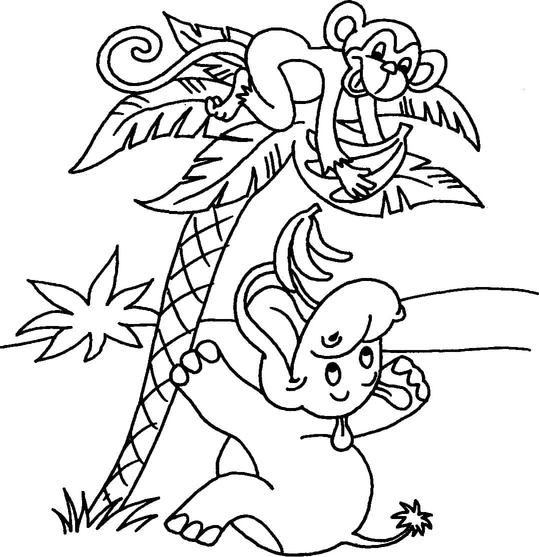 Raskrasil.com-Coloring-Pages-Jungle-Animals-98