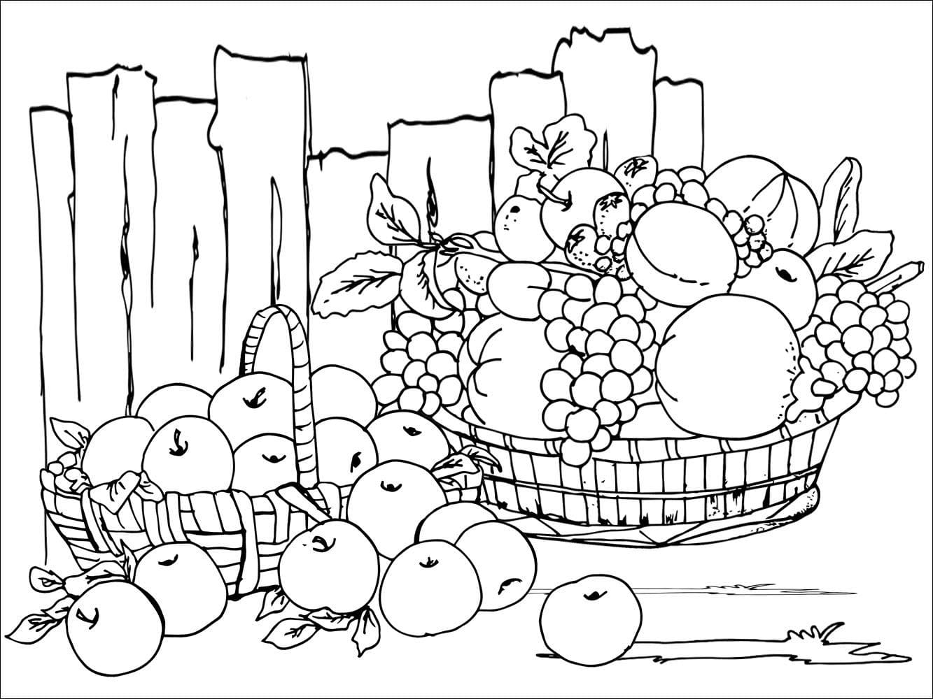 Raskrasil.com-Coloring-Pages-Still-Life-32