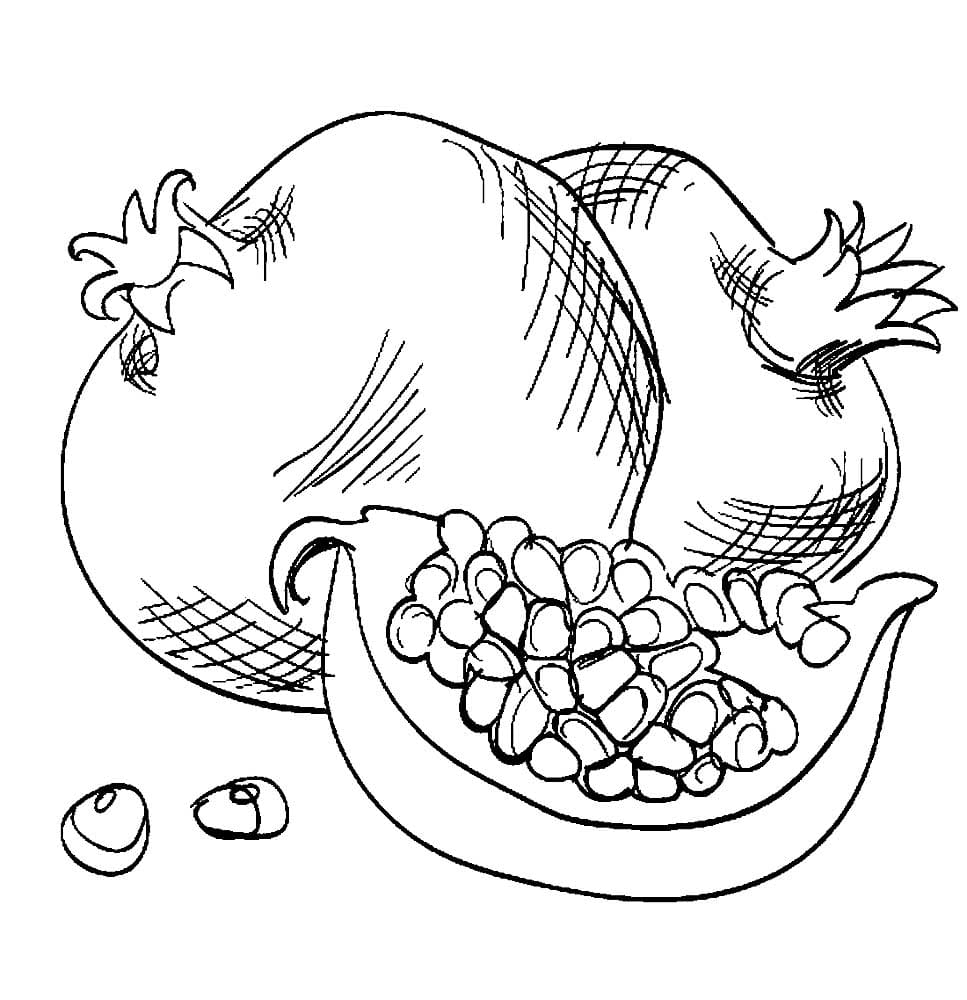 Raskrasil.com-Coloring-Pages-Still-Life-42