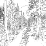 Raskrasil.com-Forest-Coloring-Pages-1