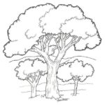 Raskrasil.com-Forest-Coloring-Pages-102