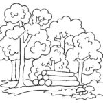 Raskrasil.com-Forest-Coloring-Pages-104