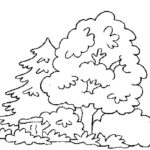 Raskrasil.com-Forest-Coloring-Pages-105