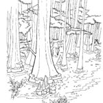 Raskrasil.com-Forest-Coloring-Pages-16