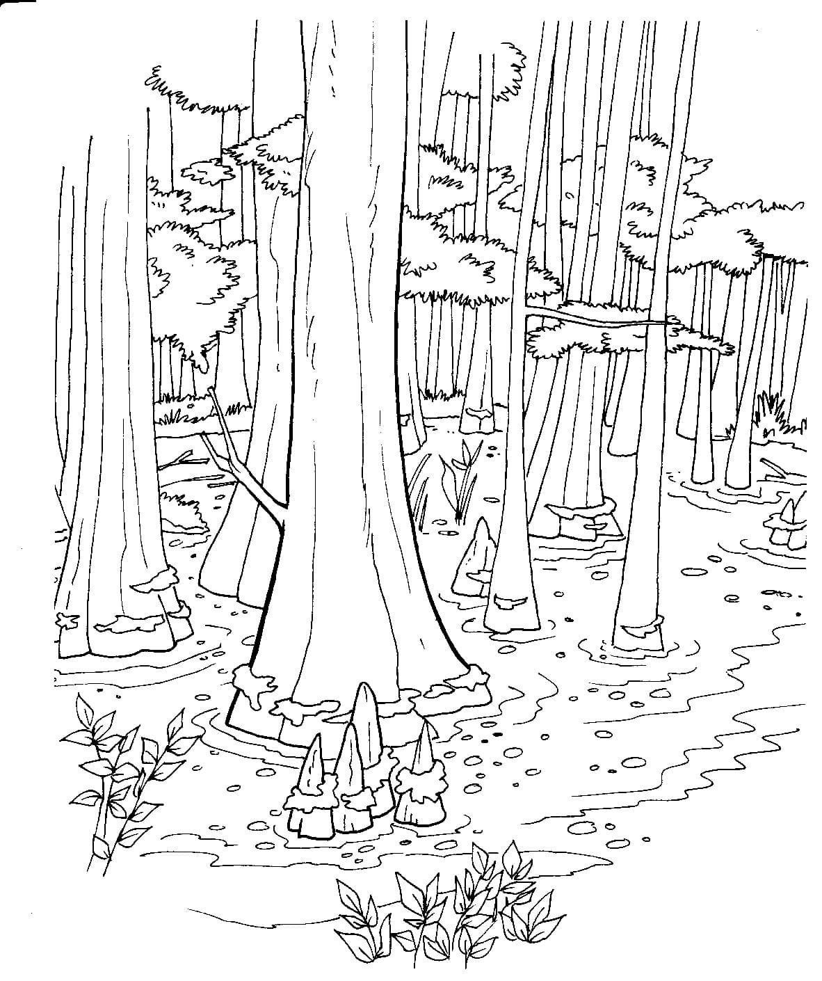 Raskrasil.com-Forest-Coloring-Pages-16