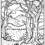 Raskrasil.com-Forest-Coloring-Pages-17