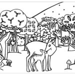 Raskrasil.com-Forest-Coloring-Pages-18