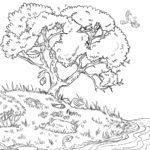 Raskrasil.com-Forest-Coloring-Pages-20