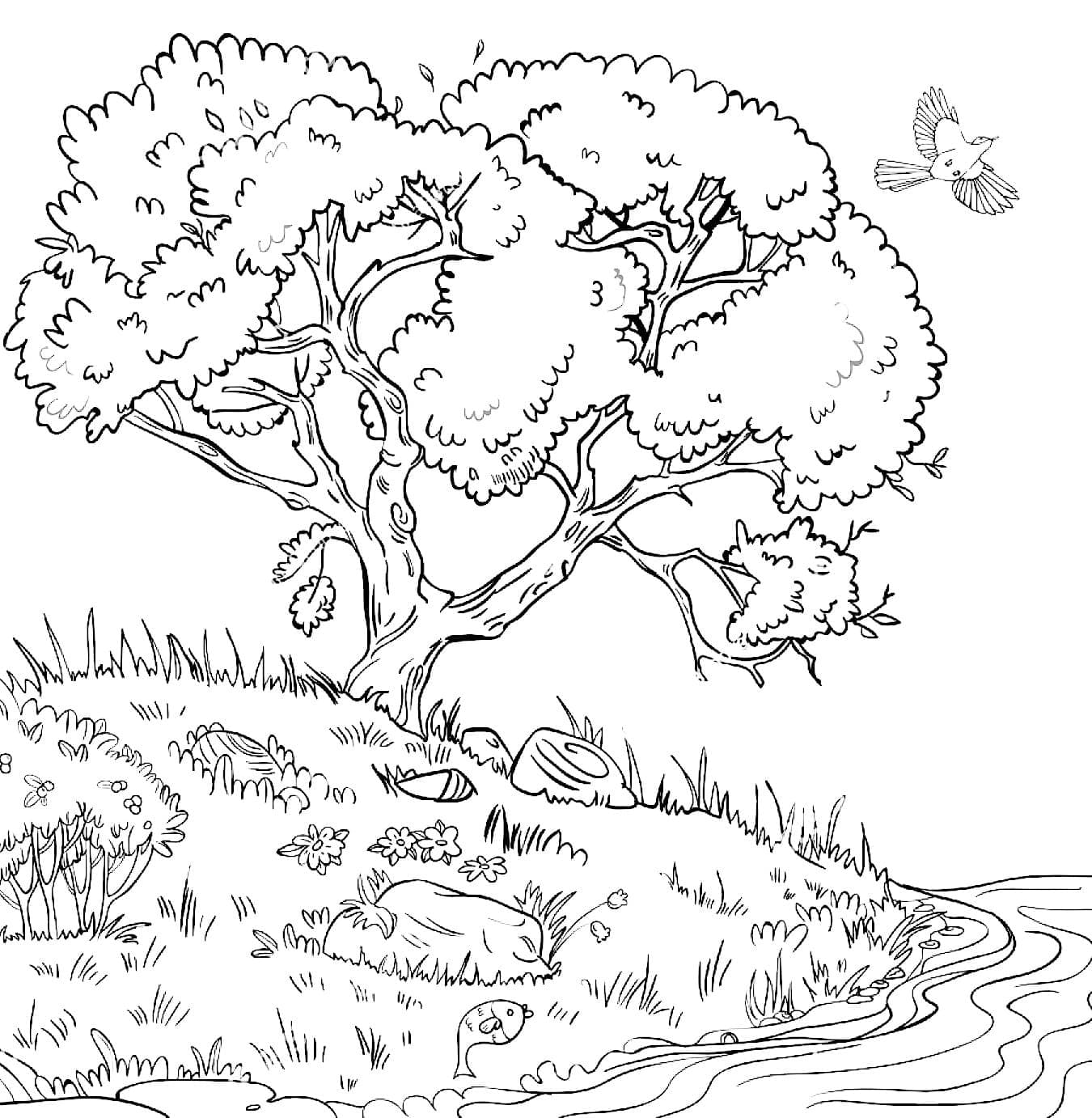 Raskrasil.com-Forest-Coloring-Pages-20