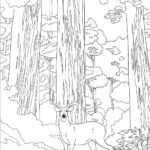 Previous Attachment