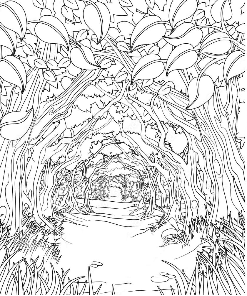 Raskrasil.com-Forest-Coloring-Pages-22