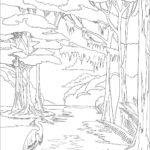 Raskrasil.com-Forest-Coloring-Pages-23