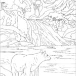 Raskrasil.com-Forest-Coloring-Pages-26