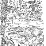 Raskrasil.com-Forest-Coloring-Pages-33