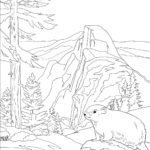 Raskrasil.com-Forest-Coloring-Pages-37