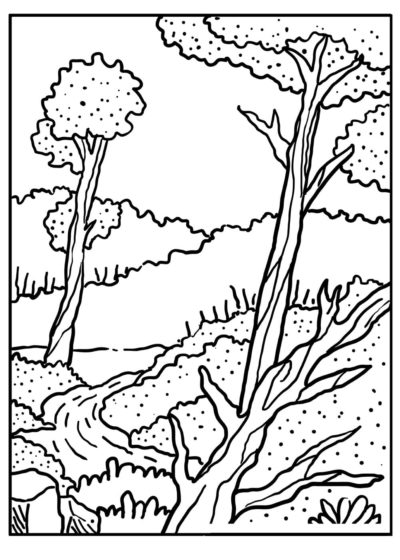 Ausmalbilder Wald | Kostenlos Malvorlagen zum Ausdrucken