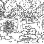 Raskrasil.com-Forest-Coloring-Pages-43