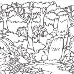 Raskrasil.com-Forest-Coloring-Pages-51
