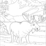 Raskrasil.com-Forest-Coloring-Pages-56