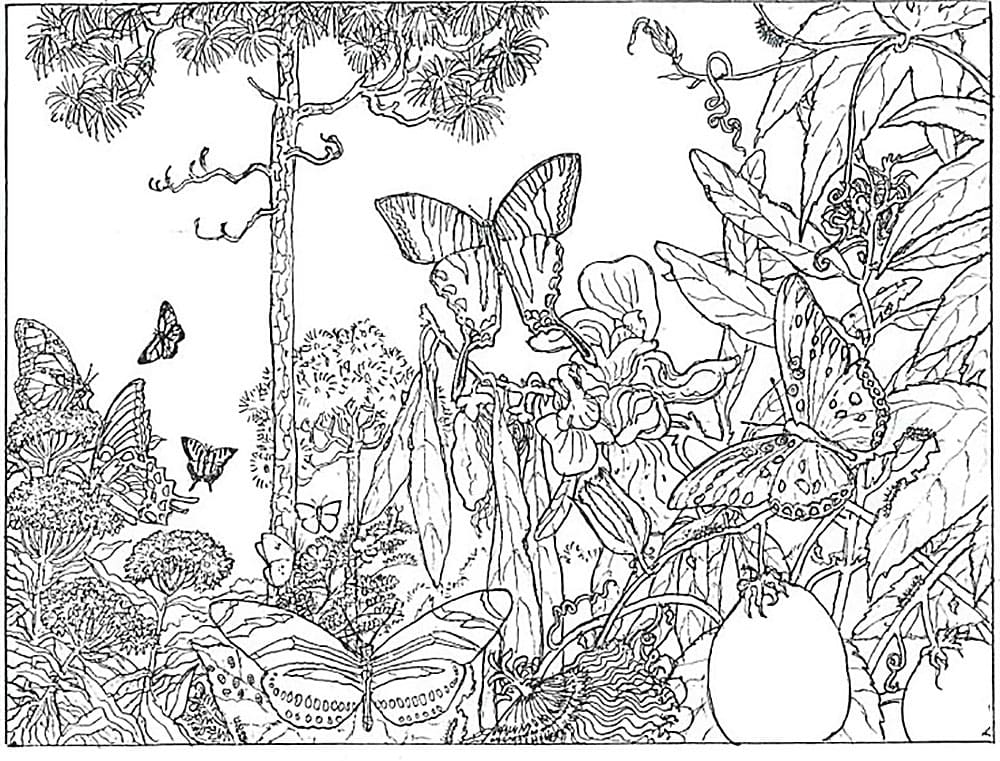 Raskrasil.com-Forest-Coloring-Pages-64