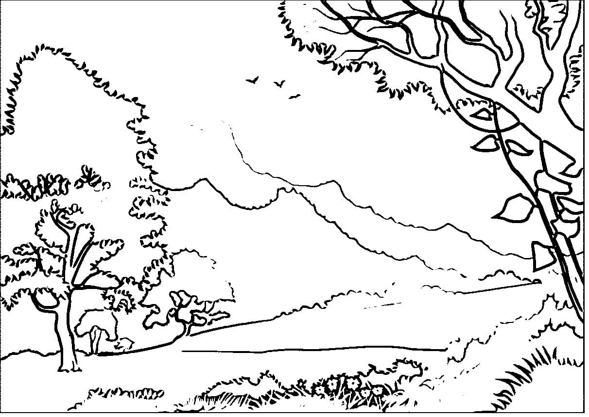 Raskrasil.com-Forest-Coloring-Pages-65