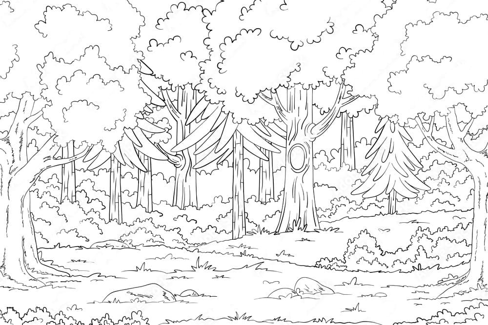 Raskrasil.com-Forest-Coloring-Pages-70