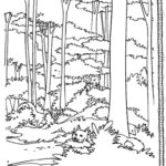Raskrasil.com-Forest-Coloring-Pages-73